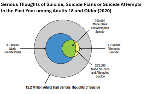Serious thoughts of suicide, suicide plans or suicide attempts in past year 18 or older