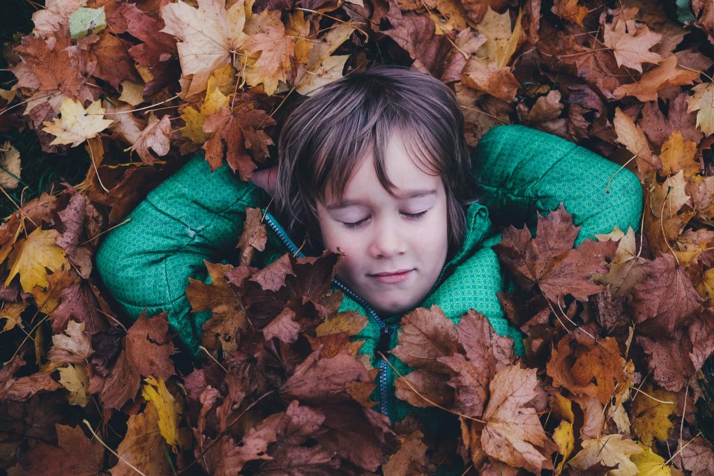 The Counseling Connoisseur: Nature-Informed Counseling for Children The Counseling Connoisseur: Nature-Informed Counseling for Children