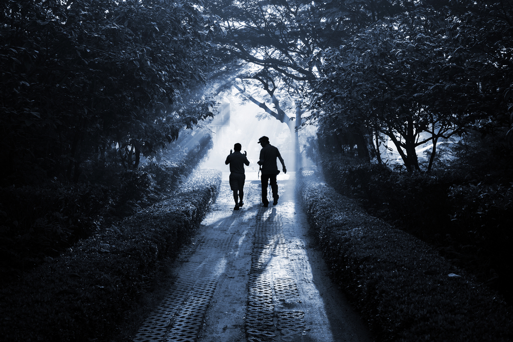 Silhouette of two people walking and talking on a forest path 